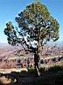 Canyonland 03